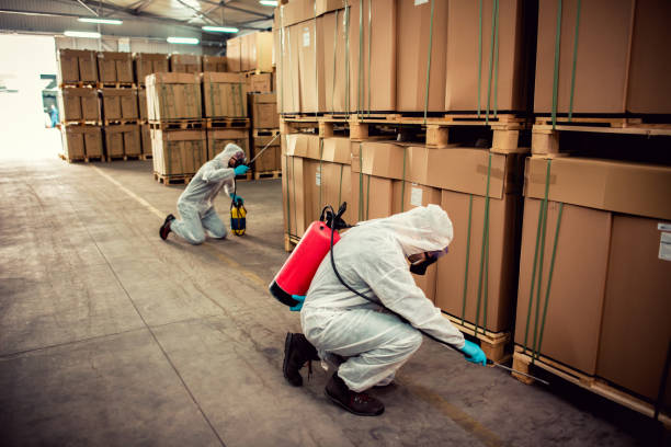 Best Affordable Pest Control Services  in Blawnox, PA