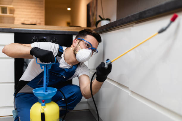 Best Local Pest Control Services  in Blawnox, PA